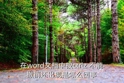 在word文檔中按ctrlz 不能撤銷還出現是怎么回事