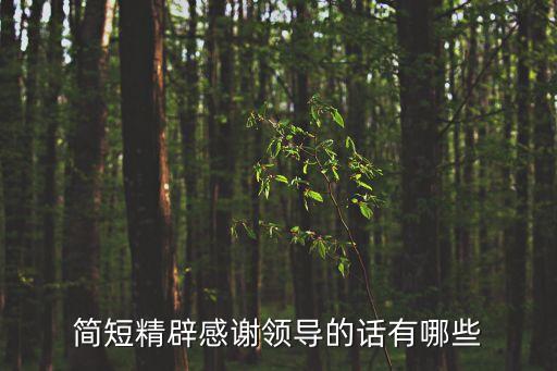 簡短精辟感謝領導的話有哪些