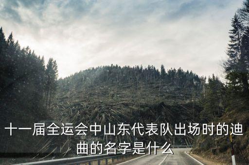 第十四屆全運會上海市代表隊出場，十一屆全運會中山東代表隊出場時的迪曲的名字是什么
