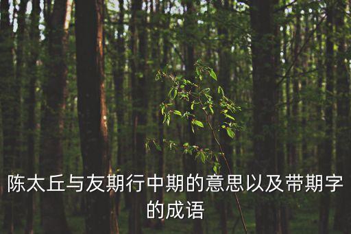 期的成語，表示 期請?jiān)~語有哪些