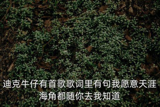 迪克牛仔有首歌歌詞里有句我愿意天涯海角都隨你去我知道
