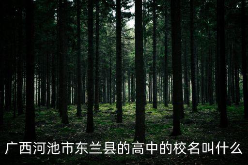 東蘭高中，黎平最好的高中