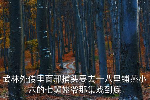 武林外傳里面邢捕頭要去十八里鋪燕小六的七舅姥爺那集戲到底