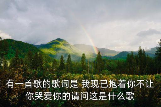 有一首歌的歌詞是 我現(xiàn)已抱著你不讓你哭愛你的請問這是什么歌