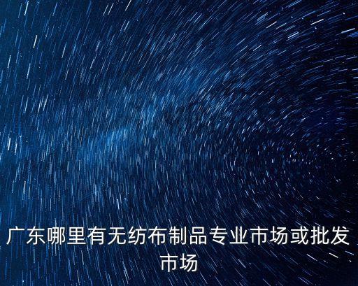 廣東哪里有無紡布制品專業市場或批發市場