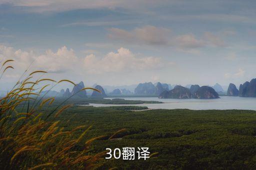 30翻譯