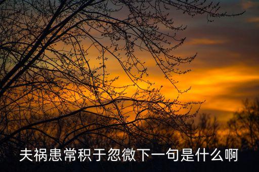 夫禍患常積于忽微，夫禍患常積于忽微 是什么意思