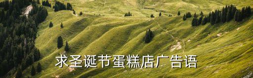 求圣誕節(jié)蛋糕店廣告語