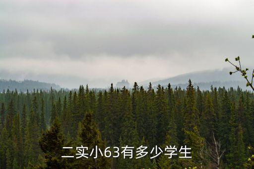 廣州大埔第二實驗小學，二實小6有多少學生