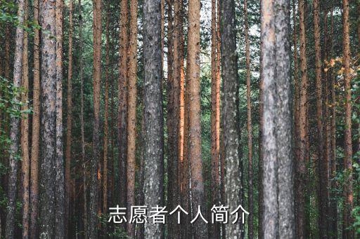 志愿者個人簡介