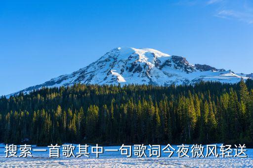 搜索一首歌其中一句歌詞今夜微風(fēng)輕送