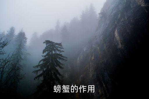 螃蟹的功效，螃蟹的作用