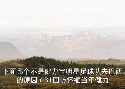 下面哪個不是健力寶明星足球隊去巴西的原因 q31回訪懷緬當年健力