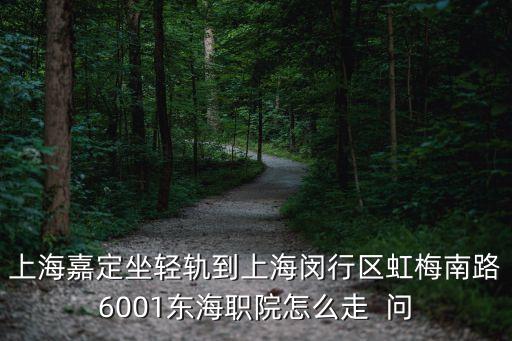 梅嶺北路蘭溪路到上海市虹梅南路6001號，上海嘉定坐輕軌到上海閔行區虹梅南路6001東海職院怎么走  問