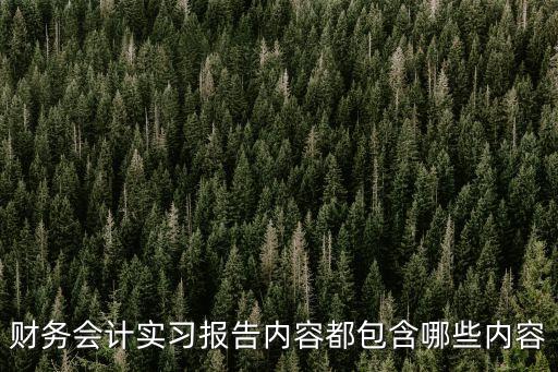財務助理實習報告，財務會計實習報告內容都包含哪些內容