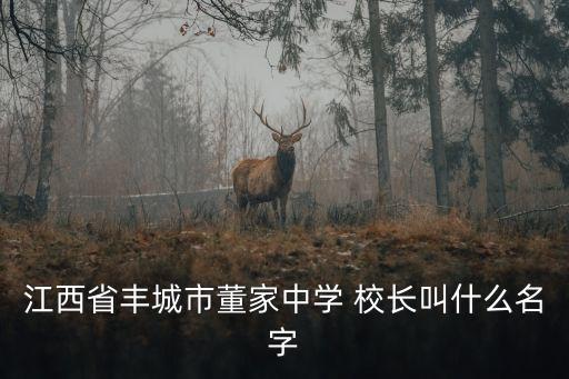 江西省豐城市董家中學 校長叫什么名字