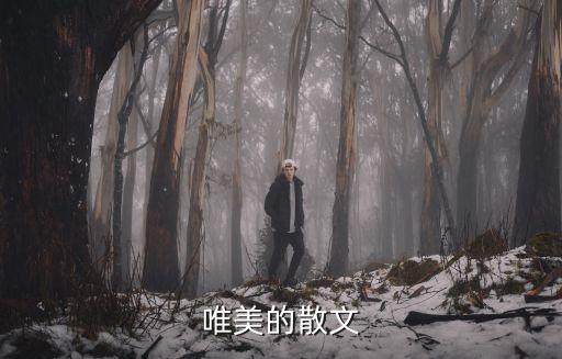 優美散文，唯美的散文