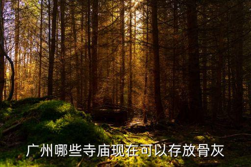 廣州光孝寺存祖先牌位，廣州哪些寺廟現(xiàn)在可以存放骨灰