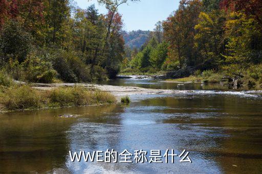 摔跤英文，WWE的全稱是什么