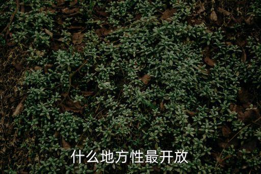 性開放d市，中國性開放嗎它可到達什么程度