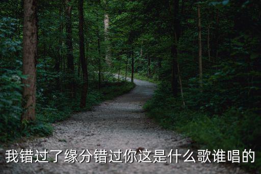 我錯過了緣分錯過你這是什么歌誰唱的