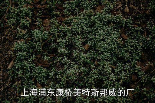 上海市浦東特斯拉工廠圖，上海浦東康橋美特斯邦威的廠