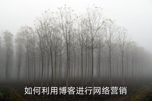 網絡營銷博客，如何利用博客進行網絡營銷