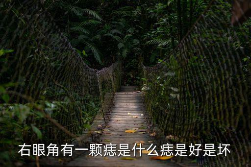 右眼角有痣，右眼邊有痣
