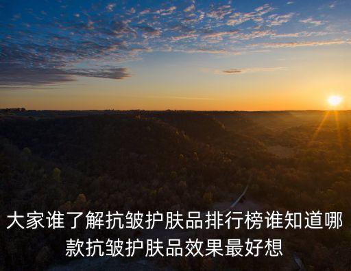 大家誰了解抗皺護膚品排行榜誰知道哪款抗皺護膚品效果最好想
