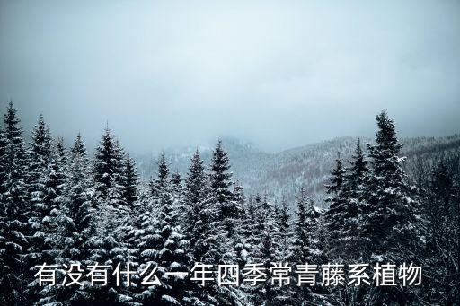 有沒有什么一年四季常青藤系植物