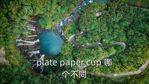 墨爾本賽馬節，plate paper cup 哪個不同