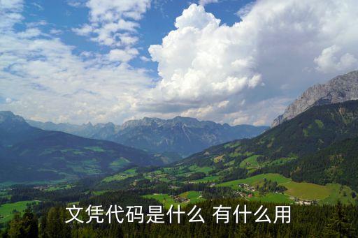 學(xué)歷代碼，棗莊學(xué)院本科學(xué)歷a開頭和y開頭有什么區(qū)別