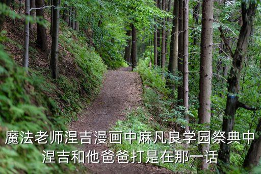 魔法老師漫畫，魔法老師涅吉漫畫中麻凡良學園祭典中涅吉和他爸爸打是在那一話