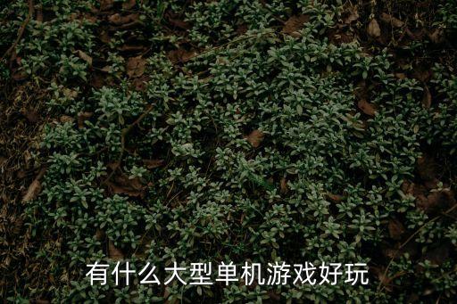 有什么大型單機游戲好玩