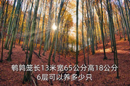 鵪鶉籠長13米寬65公分高18公分6層可以養多少只