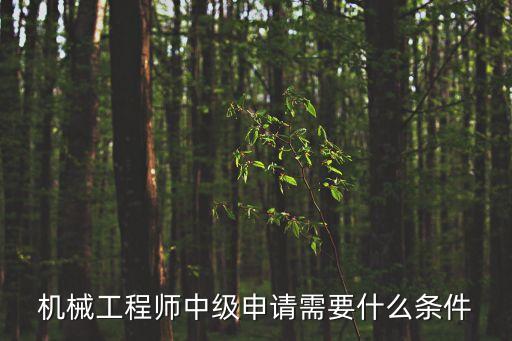 機械工程師中級申請需要什么條件