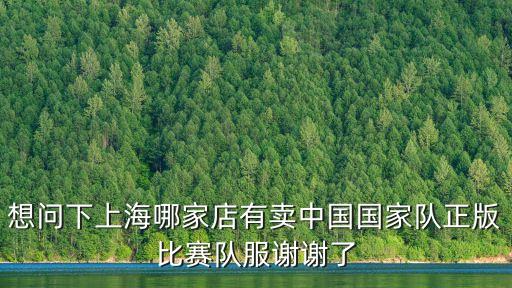 想問下上海哪家店有賣中國國家隊正版比賽隊服謝謝了