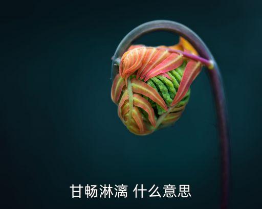 淋漓的意思，淋漓盡致是啥意思