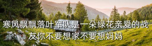 寒風(fēng)飄飄落葉軍隊是一朵綠花親愛的戰(zhàn)友你不要想家不要想媽媽