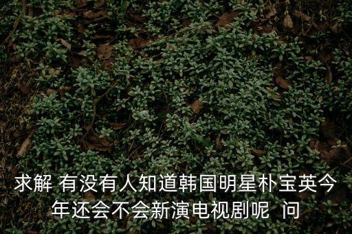 樸寶英新劇，樸敏英的新劇