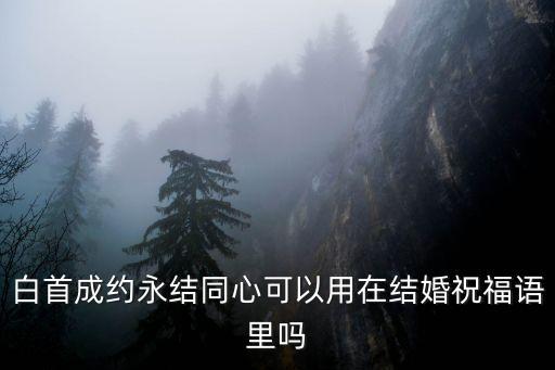 白首成約，白首成約情侶網名下一句是什么