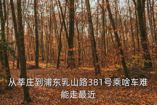 從莘莊到浦東乳山路381號乘啥車難能走最近