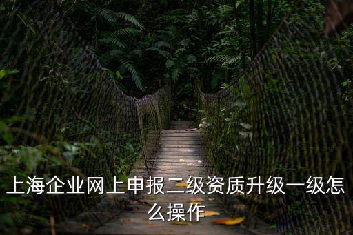 上海企業(yè)網(wǎng)上申報二級資質(zhì)升級一級怎么操作