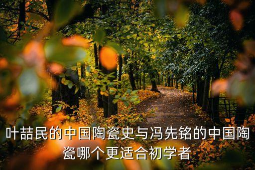葉喆民的中國陶瓷史與馮先銘的中國陶瓷哪個更適合初學(xué)者