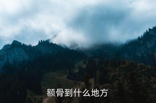額骨，額骨到什么地方