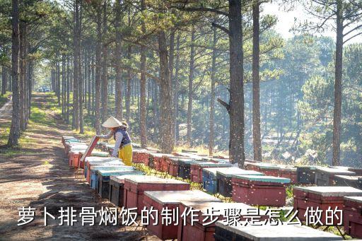 排骨悶飯，排骨燜飯你試過未
