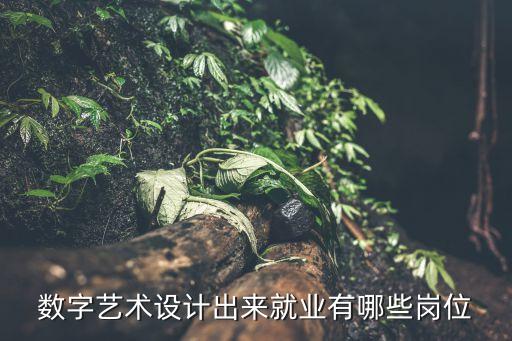 數(shù)字藝術(shù)設(shè)計(jì)，數(shù)字藝術(shù)設(shè)計(jì)出來(lái)就業(yè)有哪些崗位