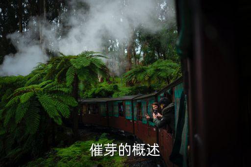 催芽的概述