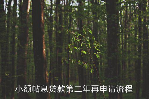 小額帖息貸款第二年再申請(qǐng)流程