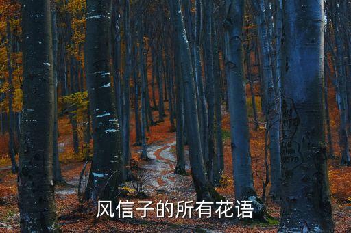 風信子的所有花語